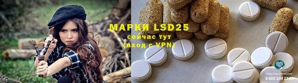 ГАЛЛЮЦИНОГЕННЫЕ ГРИБЫ Балахна