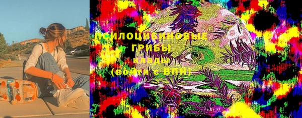 ГАЛЛЮЦИНОГЕННЫЕ ГРИБЫ Балахна